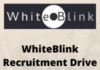 WhiteBlink Recruitment Drive