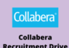 collabera Recruitment Drive